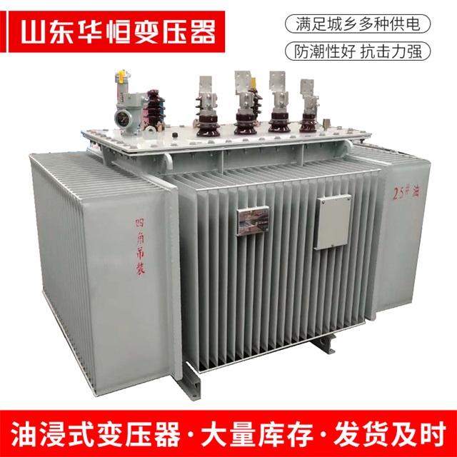 S13-10000/35肇源肇源肇源电力变压器厂家