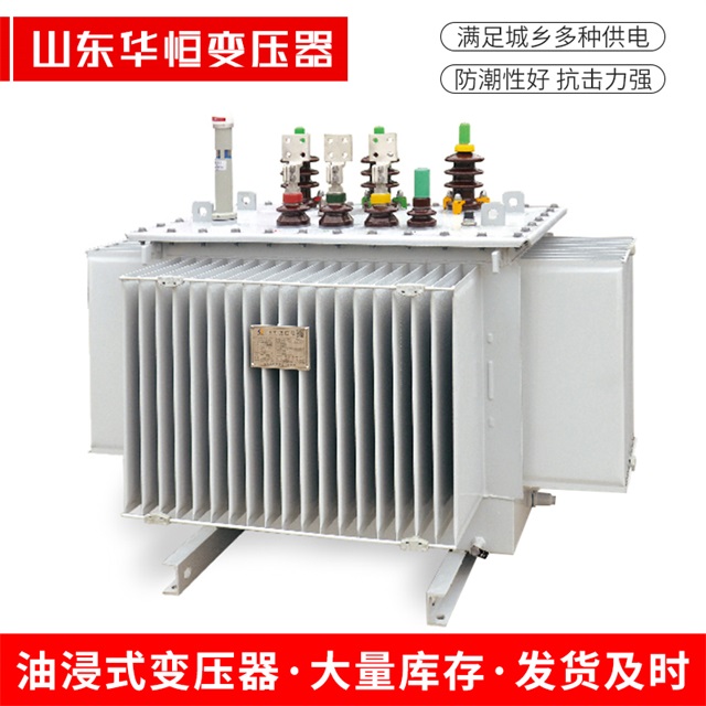 S13-10000/35肇源肇源肇源电力变压器